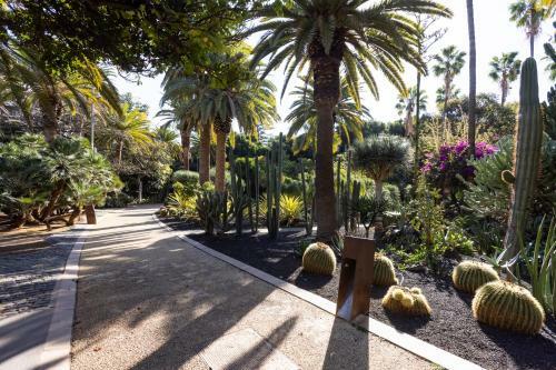 Apartamento Home2book Centric & Cozy Flat Rambla Santa Cruz
