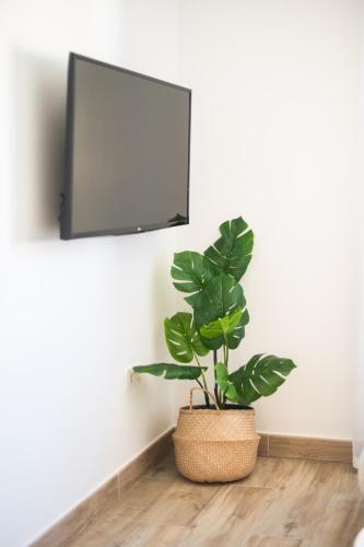 Apartamento Magec Santa Cruz