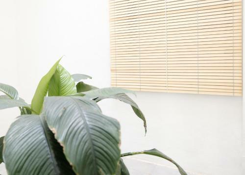 Apartamento Piso De Lujo En Tenerife La Cochera