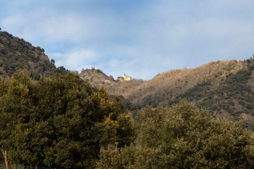 La Masover�a De Mas Redortra