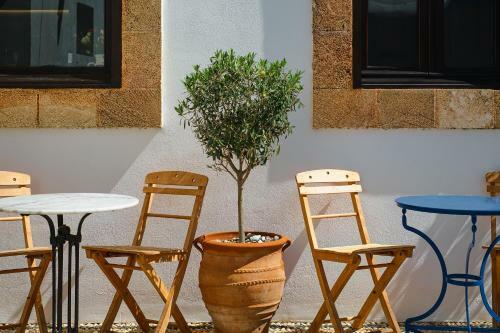 Agroturismo Villa Oliva