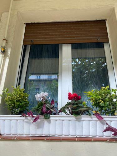 Apartamento Rio Deba Gardens