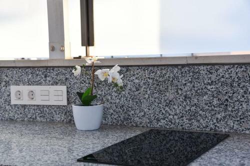 Apartamento El Paraiso De La Ribera (completely New)