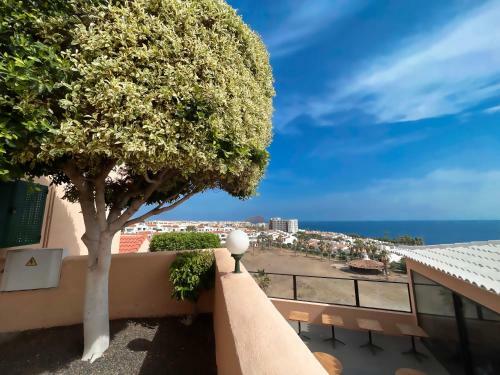 Apartamento Paz Ocean View, Air Condition, Wifi, Heated Pool