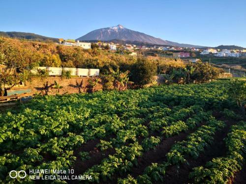 Finca Los Angeles