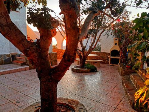 Apartamento Paula