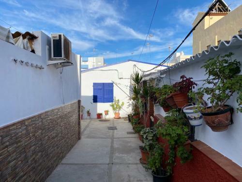 La Casa Azul