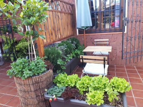 Apartamento Tranquilo En UNA Casa Con Jard�n
