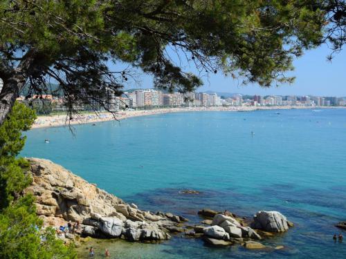 Apartment Les Suredes-3 By Interhome