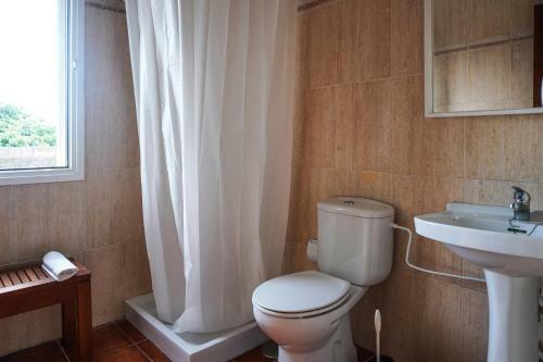 Cozy Apartment In La Laguna