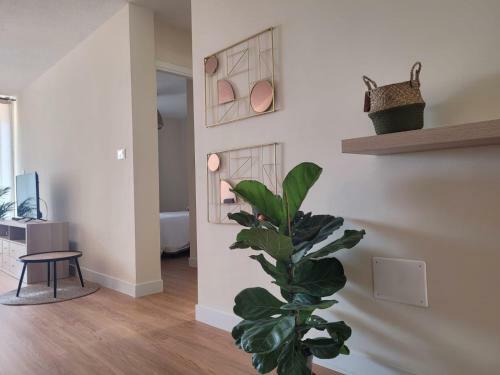 Apartamento Teodoro