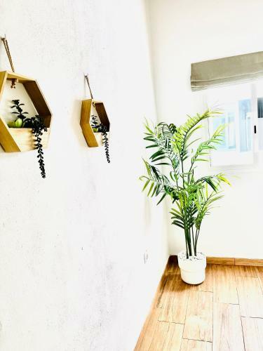 Apartamento Dakota?s House