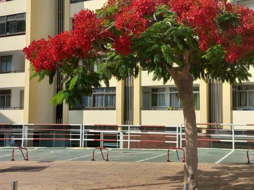 Apartamento Tropical House Near Beach&yumbo