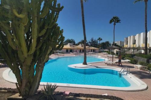 Apartamento Bungalow Capri Maspalomas