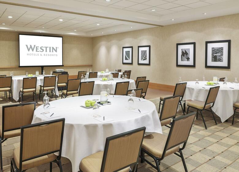 Hotel Westin Detroit Metro Airport