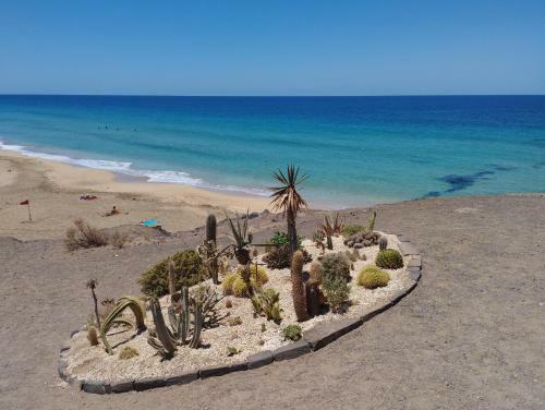 Apartamento Casa Ina In El Roque, El Cotillo