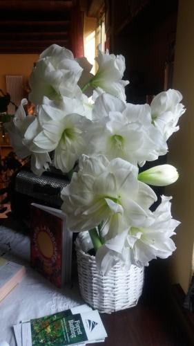 Agroturismo Agriturismo Oro Di Berta