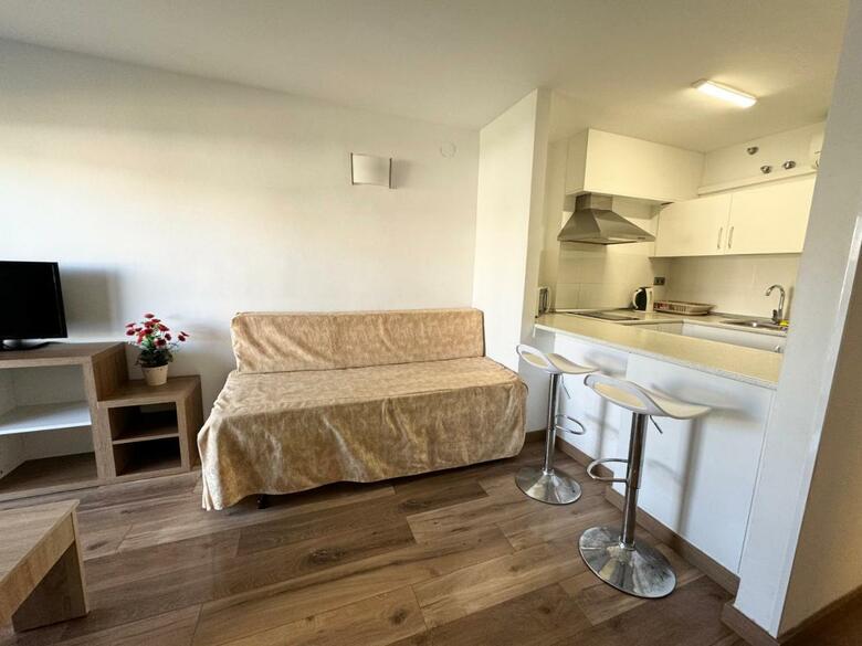 Apartsalou Michelangelo