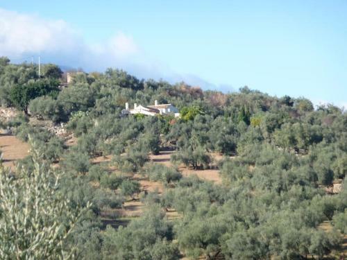 Villa La Molina Del Olivar - Peaceful Location