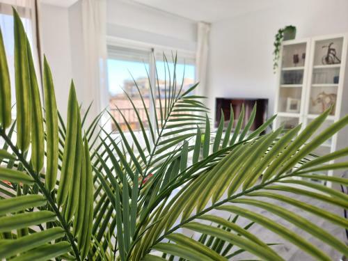 Apartamento Del Parque Flats Candelaria Sea View
