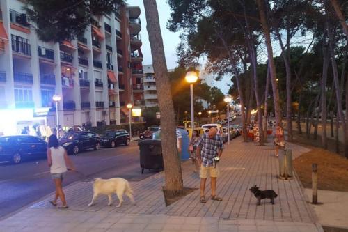 Apartment In Salou. Beach Relax Hutt-033474-91