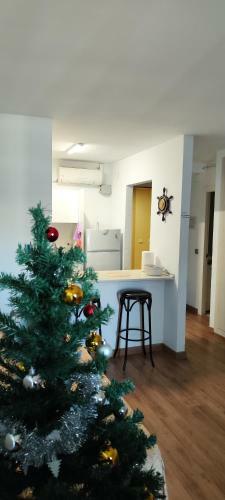 Apartamentossalou Michelangelo