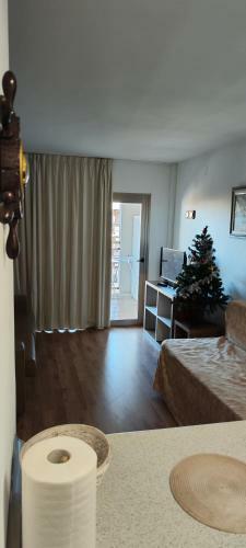 Apartamentossalou Michelangelo