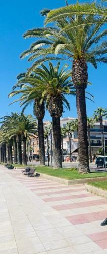 Apartamento Studio 250m Zum Strand