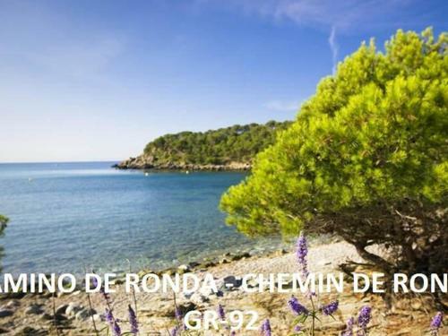 Apartamento Roses, 2 Dormitorios, 4 Personas - Es-258-19