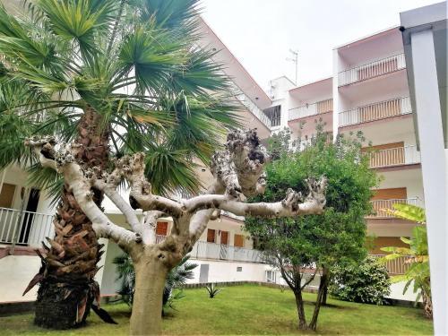 Apartamento Roses, 2 Dormitorios, 6 Personas - Es-258-39