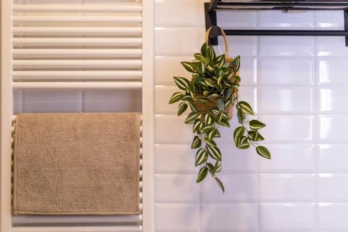 Apartamentos Gurug�