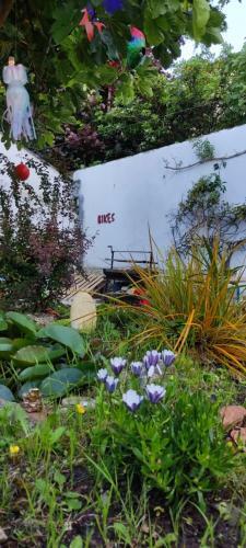 Hostel Namor