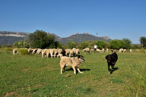 Agroturismo I Mandorli