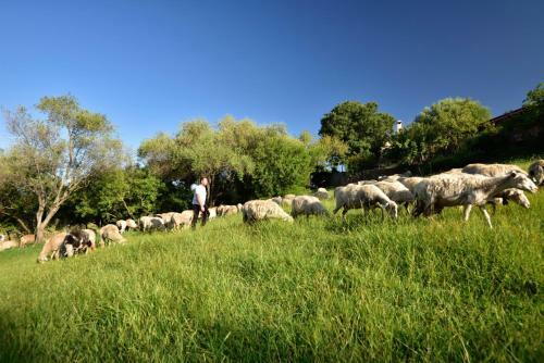 Agroturismo I Mandorli