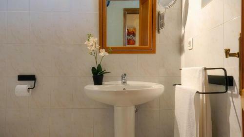 Apartment Punta Di Mare Punta Mujeres By Pvl