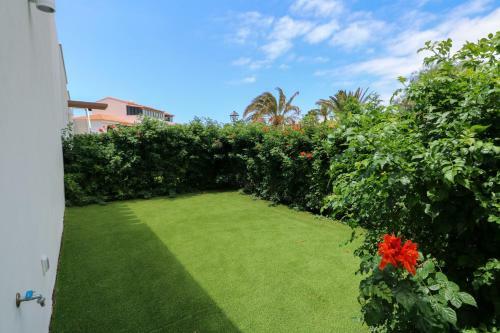 Agaete Sunset Vista With Jacuzzi 2-br Apartment