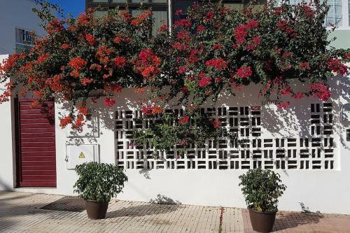 Apartamento Luminoso Con Patio Y Jard�n