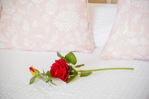 Apartamento Estella By Vive La Exclusividad