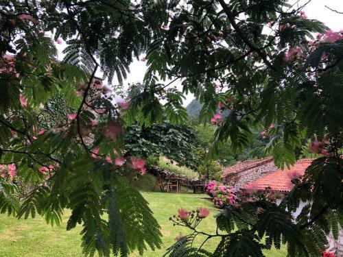 Hdec Hosteria De Casta�eda Alojamiento Turistico