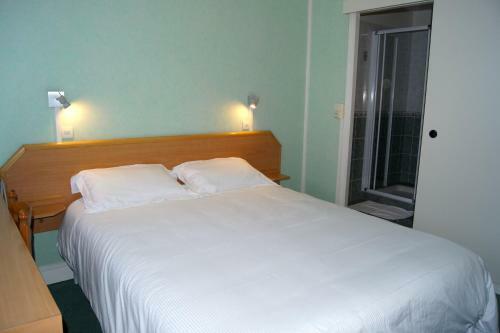 Hotel H�tel Le Lyon Bron