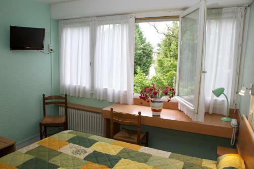 Hotel H�tel Le Lyon Bron