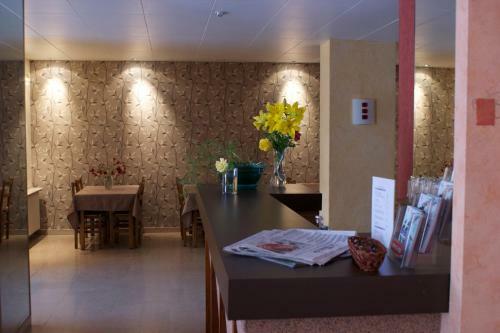 Hotel H�tel Le Lyon Bron