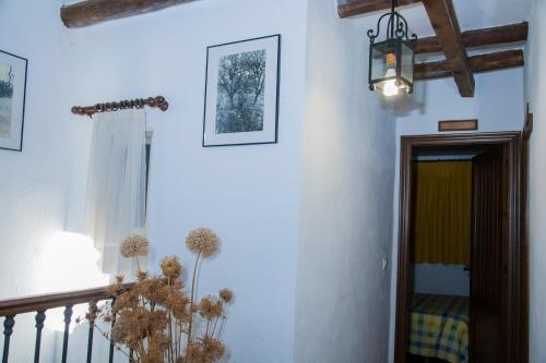 Cortijo Charcollana