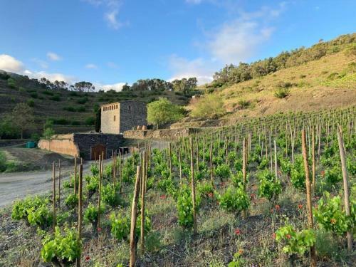 Rac� Al Cor Del Priorat