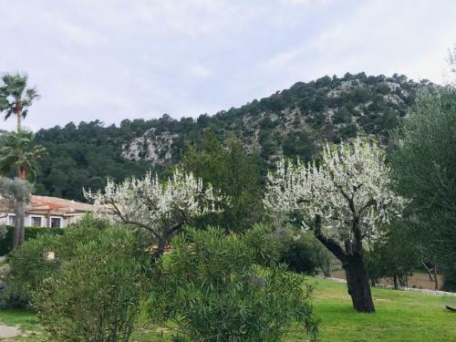 Villa Can Guillo Pollensa