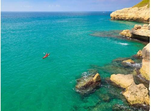 Fant�stica Casa Con Piscina Y Playa ,torredembarra-tarragona