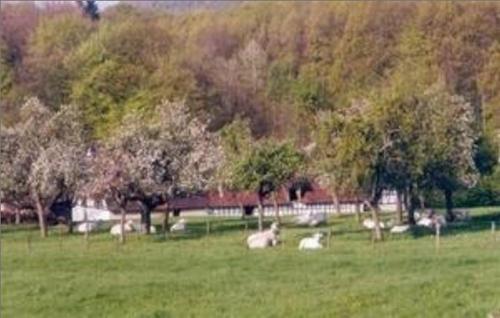 Bed & Breakfast Ferme Auberge Du Moulin Des Sept Fontaines