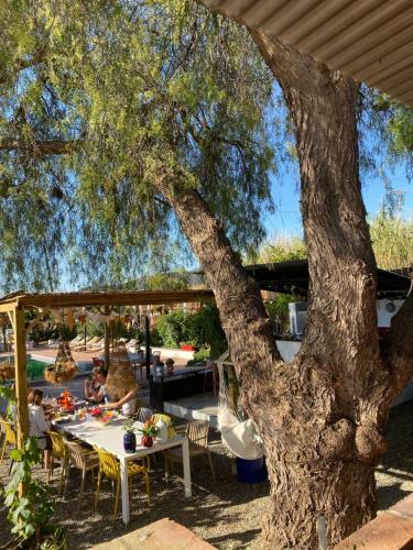 Glamping Bed And Breakfast Finca Alegria de La Vida