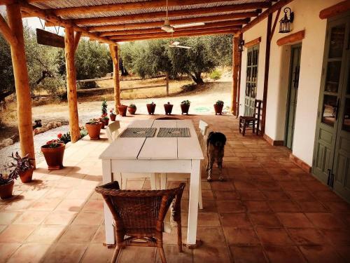 Apartamento La Cuadra de Finca Don Carmelo