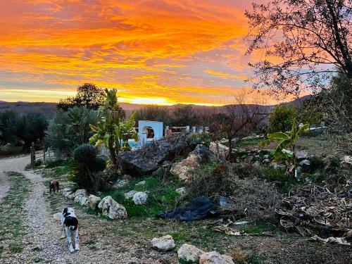 Apartamento La Cuadra de Finca Don Carmelo